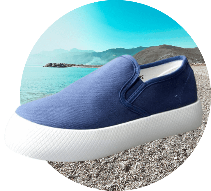 seashoe